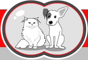 petmaxx